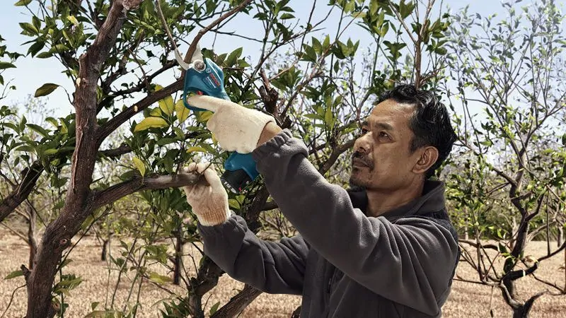 Bosch 06019K1020 Pro Pruner akkus metszőolló (akku és töltő nélkül) kép 2