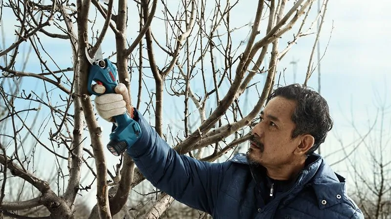 Bosch 06019K1020 Pro Pruner akkus metszőolló (akku és töltő nélkül) kép 11