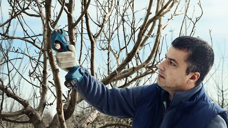 Bosch 06019K1020 Pro Pruner akkus metszőolló (akku és töltő nélkül) kép 3