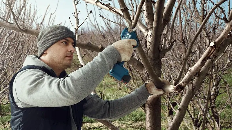 Bosch 06019K1020 Pro Pruner akkus metszőolló (akku és töltő nélkül) kép 5