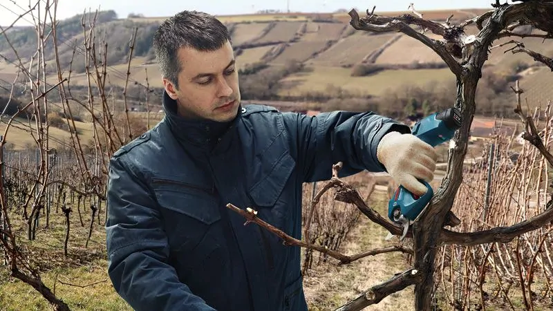 Bosch 06019K1020 Pro Pruner akkus metszőolló (akku és töltő nélkül) kép 10