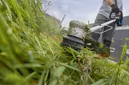 Bosch 06008D0000 GRT 18V-33 akkus szegélynyíró (akku és töltő nélkül) kép 6