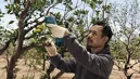 Bosch 06019K1020 Pro Pruner akkus metszőolló (akku és töltő nélkül) kép 2