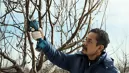 Bosch 06019K1020 Pro Pruner akkus metszőolló (akku és töltő nélkül) kép 11