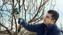 Bosch 06019K1020 Pro Pruner akkus metszőolló (akku és töltő nélkül) kép 3