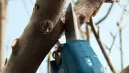Bosch 06019K1020 Pro Pruner akkus metszőolló (akku és töltő nélkül) kép 4