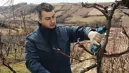 Bosch 06019K1020 Pro Pruner akkus metszőolló (akku és töltő nélkül) kép 10